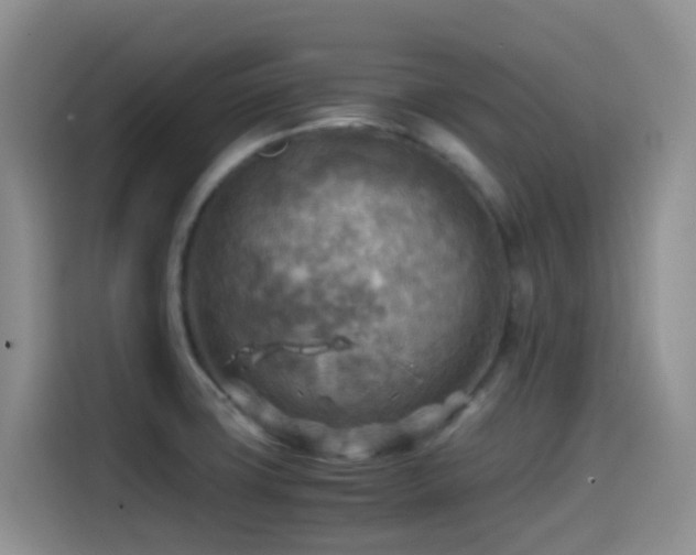 X0000114561427200910191422