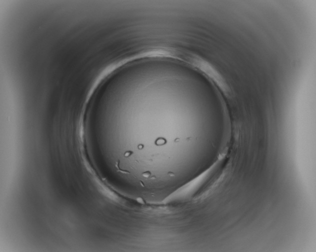 X0000114561428200910191422