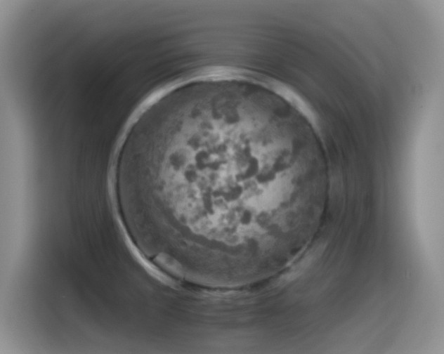 X0000114561429200910191422