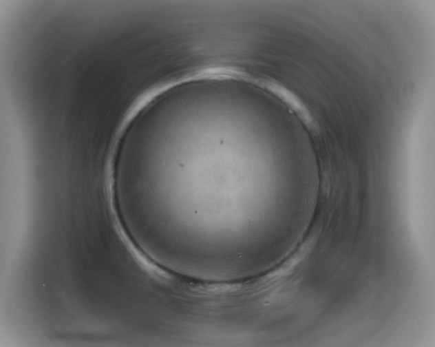 X0000114561430200910191422