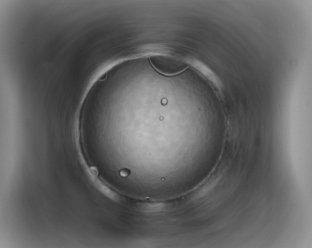 X0000114561431200910191422