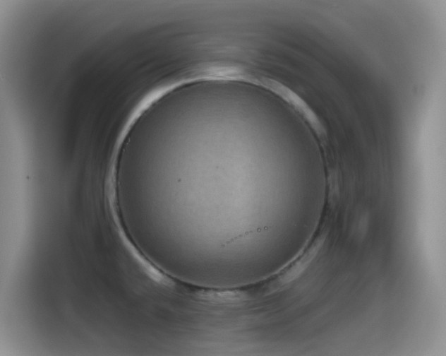 X0000114561432200910191422