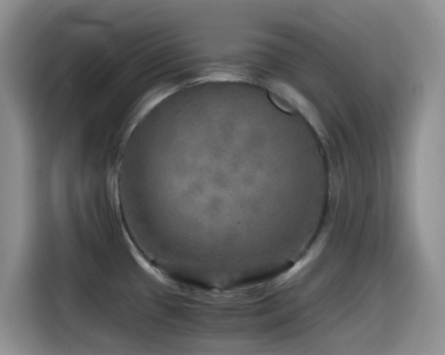 X0000114561433200910191422