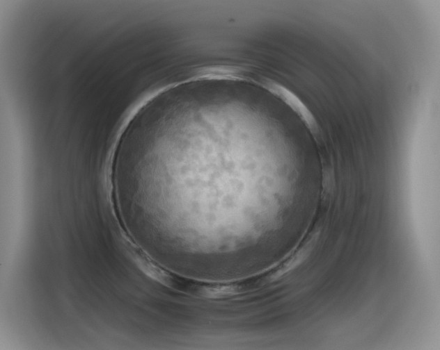 X0000114561435200910191422