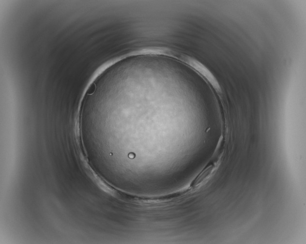 X0000114561436200910191422