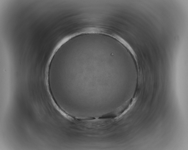 X0000114561437200910191422