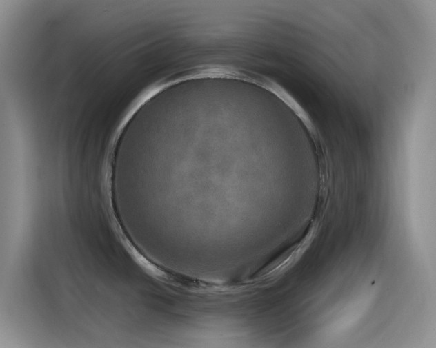 X0000114561438200910191422
