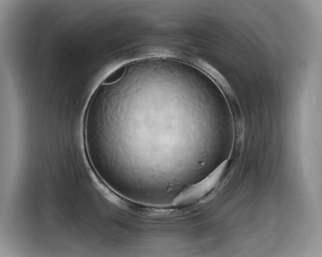 X0000114561439200910191422