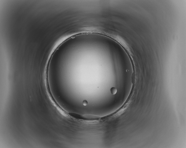 X0000114561440200910191422