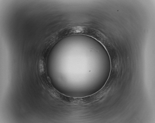 X0000114561442200910191422
