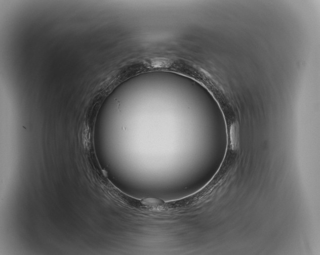 X0000114561443200910191422