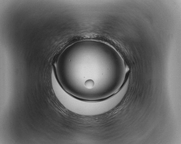 X0000114561444200910191422