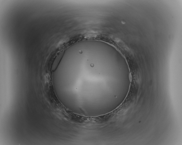 X0000114561445200910191422