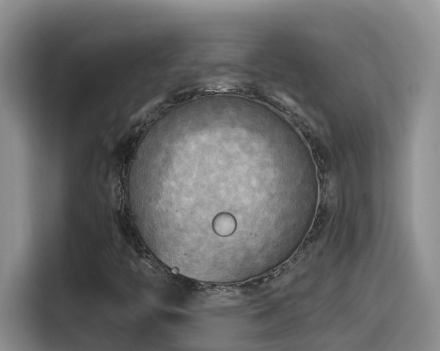 X0000114561446200910191422