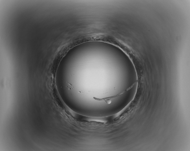 X0000114561447200910191422