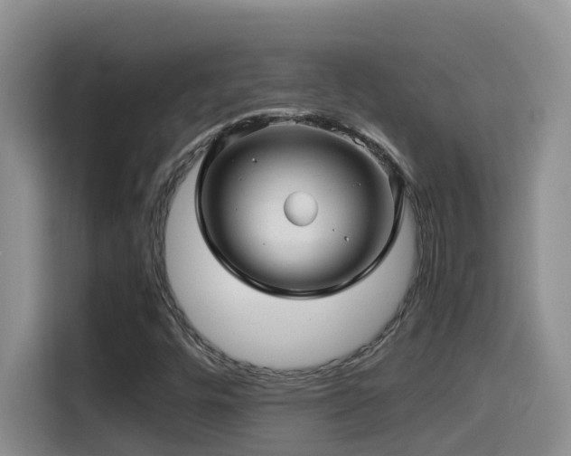 X0000114561448200910191422