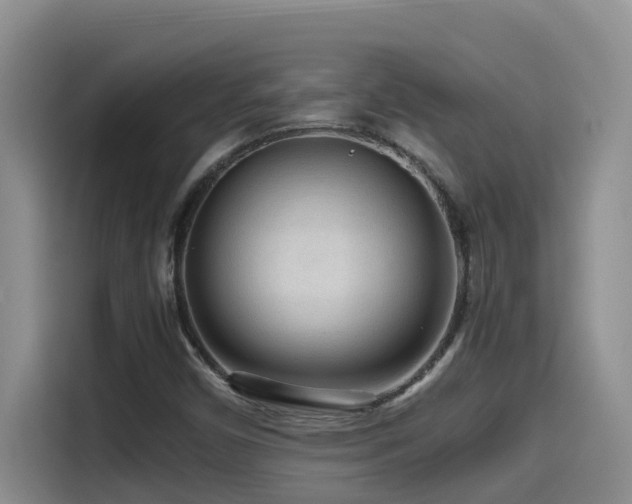 X0000114561450200910191422