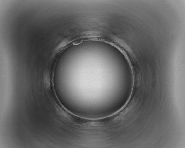 X0000114561451200910191422