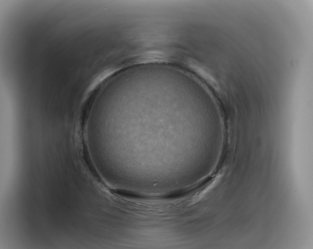 X0000114561453200910191422