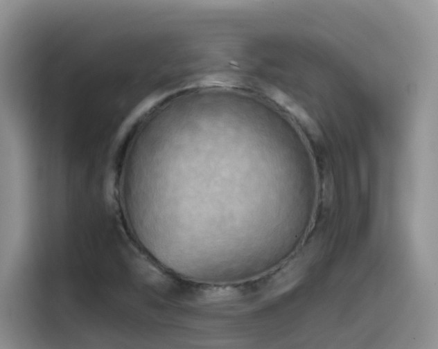 X0000114561454200910191422