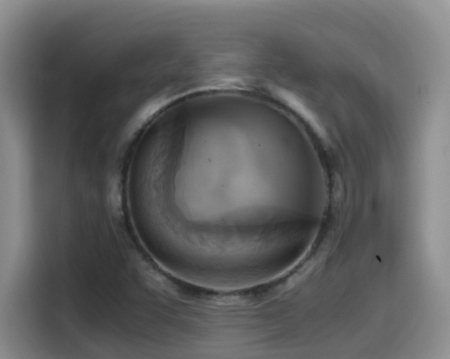 X0000114561455200910191422