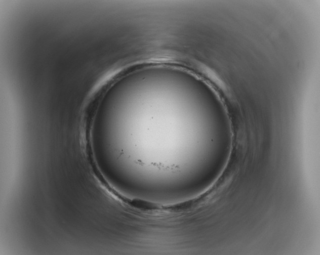 X0000114561456200910191422