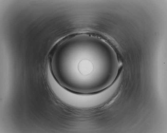 X0000114561457200910191422