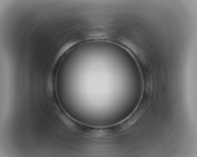 X0000114561458200910191422