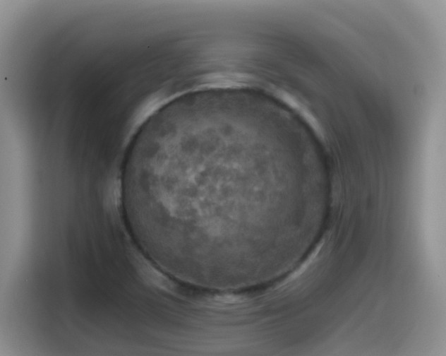 X0000114561459200910191422