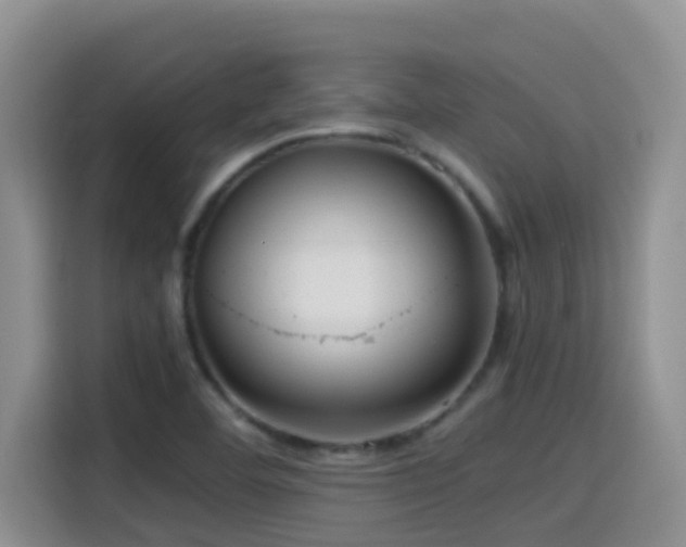 X0000114561460200910191422