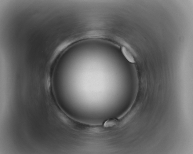 X0000114561461200910191422