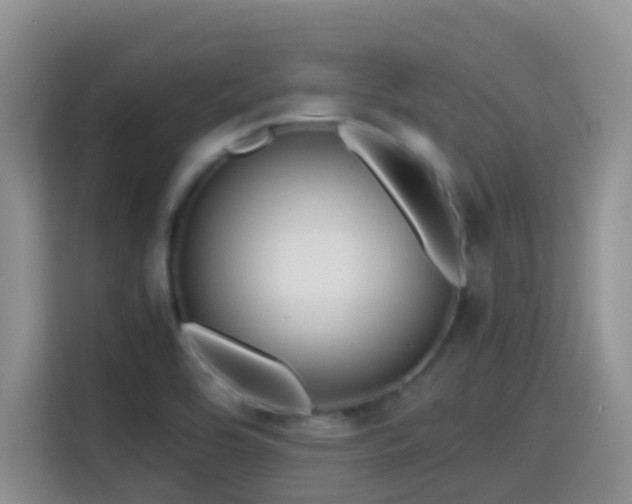 X0000114561464200910191422