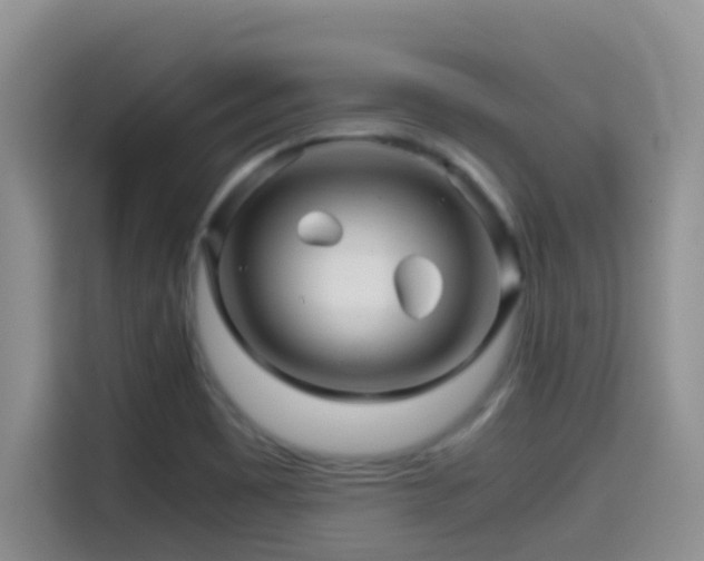 X0000114561465200910191422
