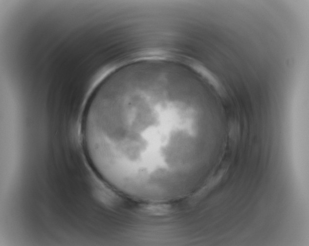 X0000114561466200910191422