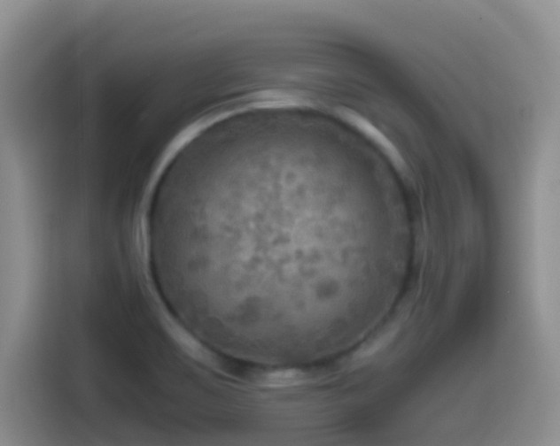 X0000114561467200910191421