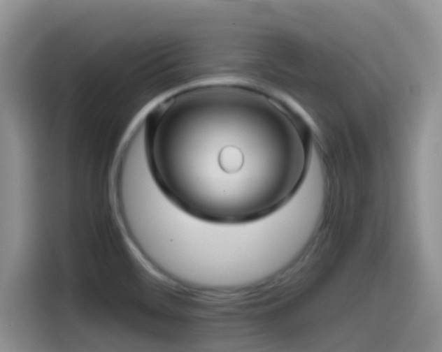 X0000114561468200910191421