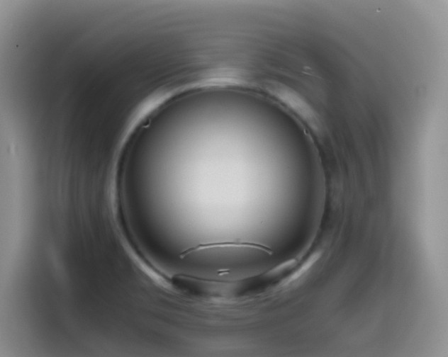 X0000114561469200910191421