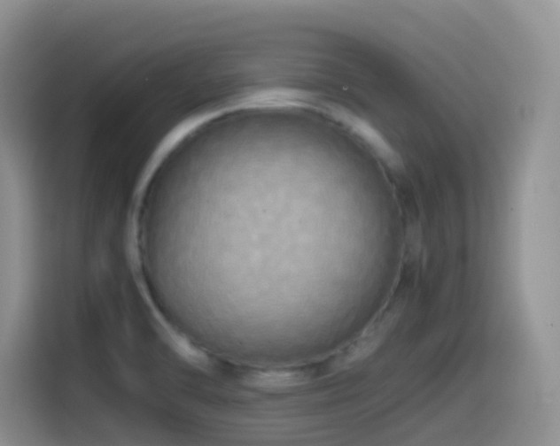 X0000114561470200910191421