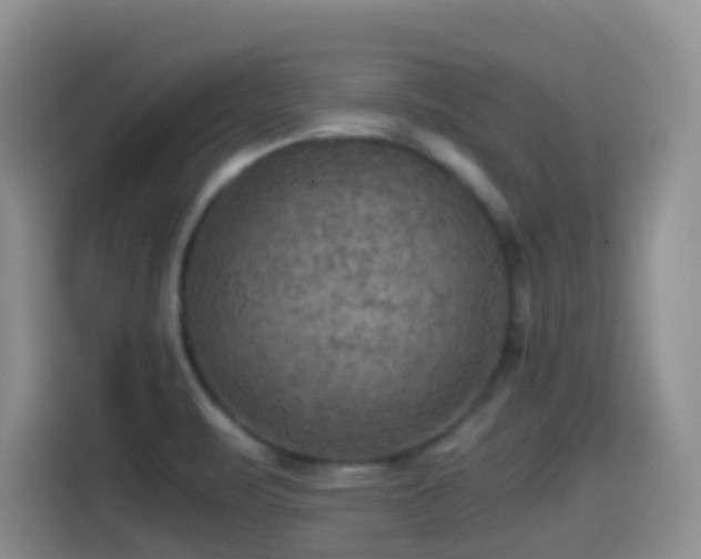 X0000114561471200910191421