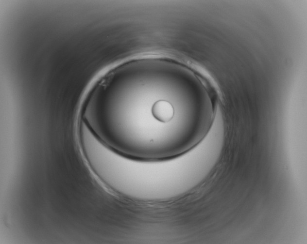 X0000114561472200910191421