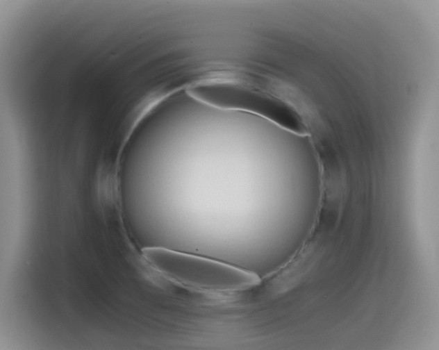 X0000114561473200910191421