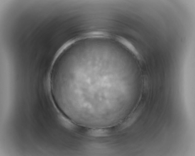 X0000114561474200910191421
