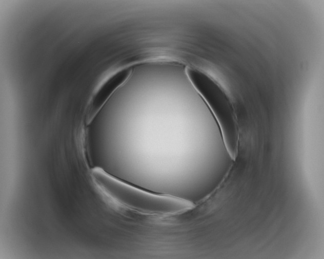 X0000114561476200910191421