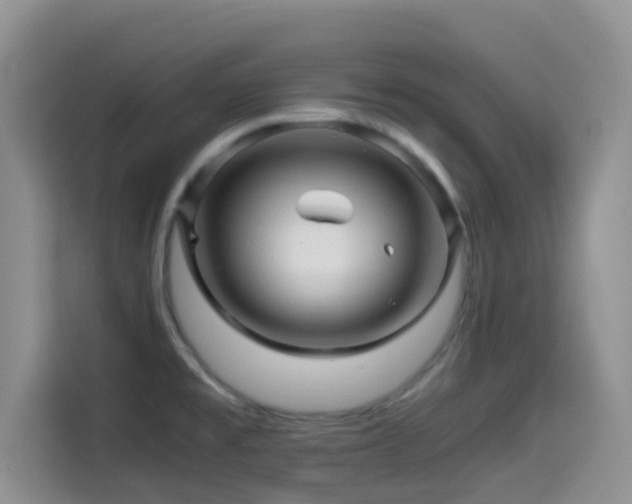 X0000114561477200910191421