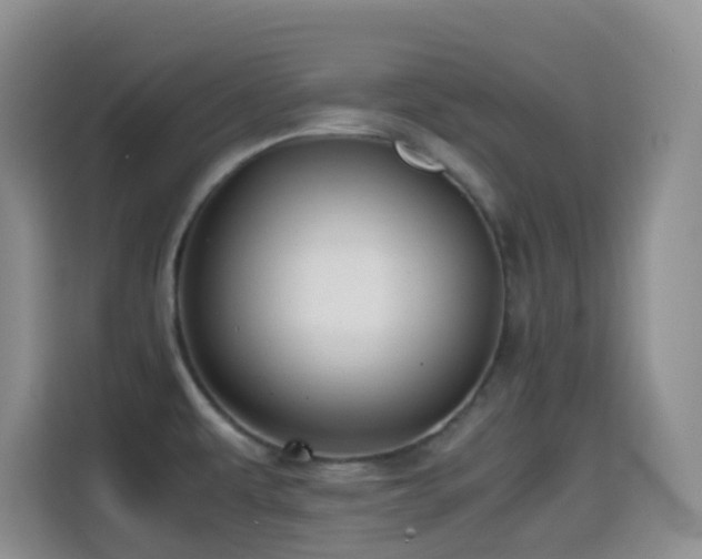 X0000114561479200910191421