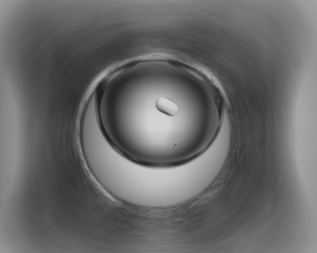 X0000114561480200910191421