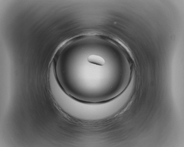 X0000114561481200910191421
