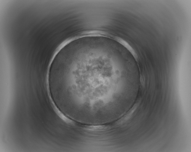 X0000114561482200910191421
