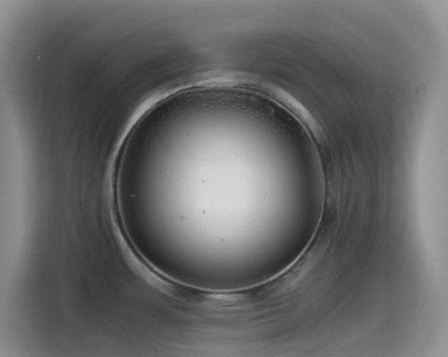 X0000114561483200910191421