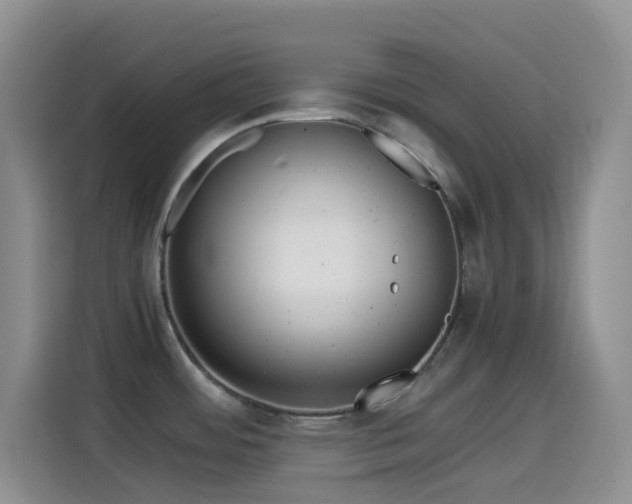 X0000114561484200910191421